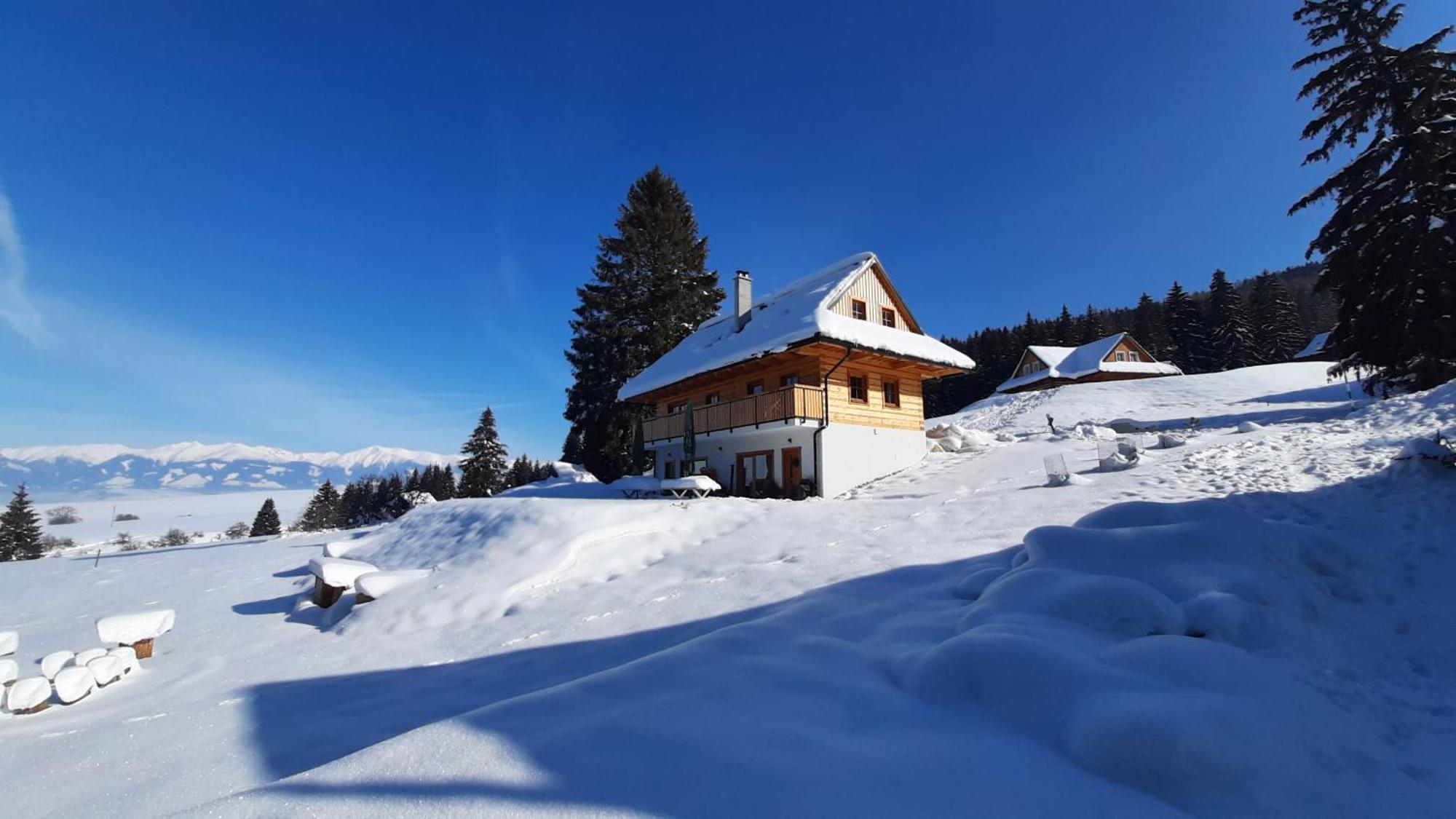 Villa Drevenica Pod Demaenovskou Horou Demänovská Dolina Exterior foto